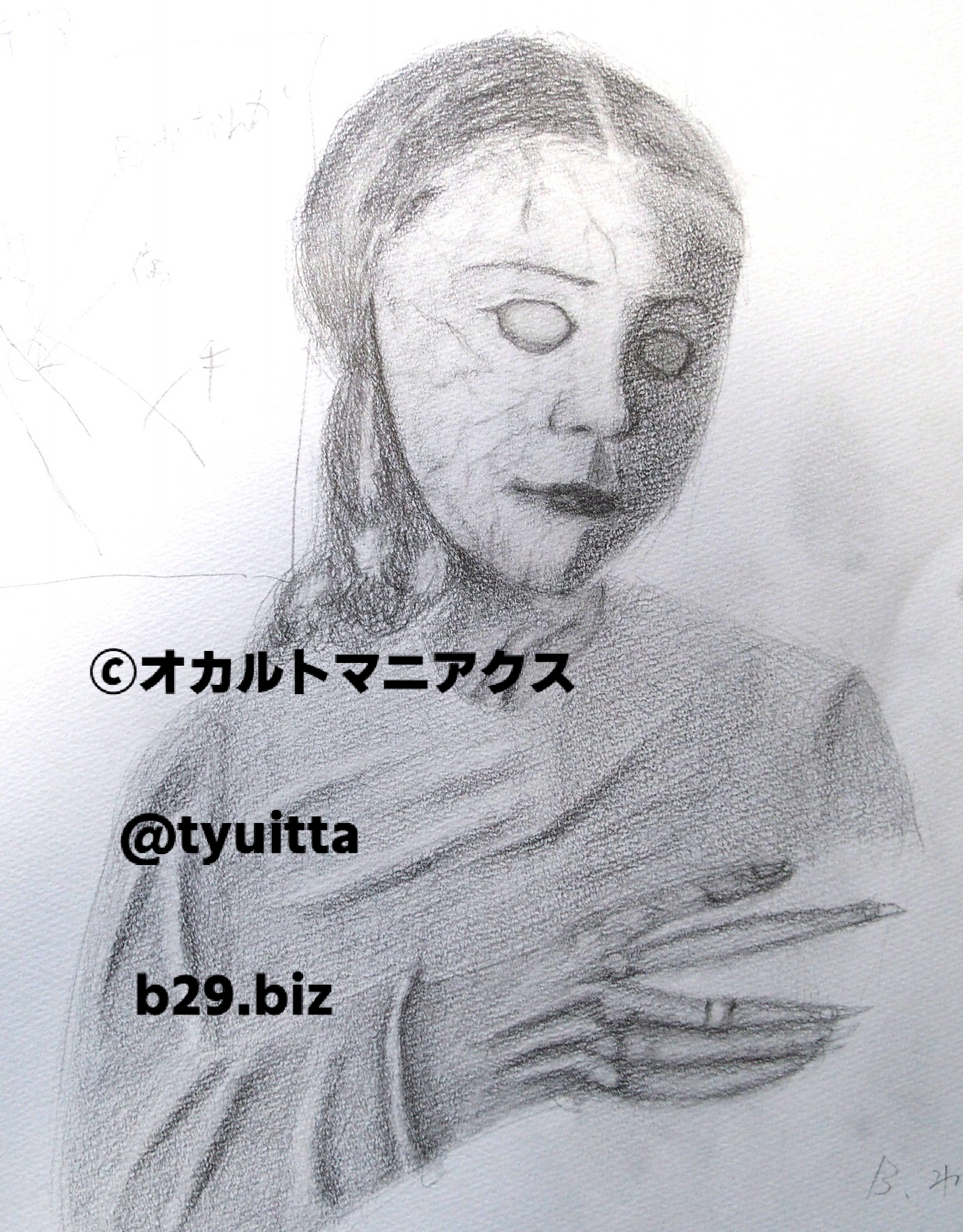 未来人の写真 2041年
